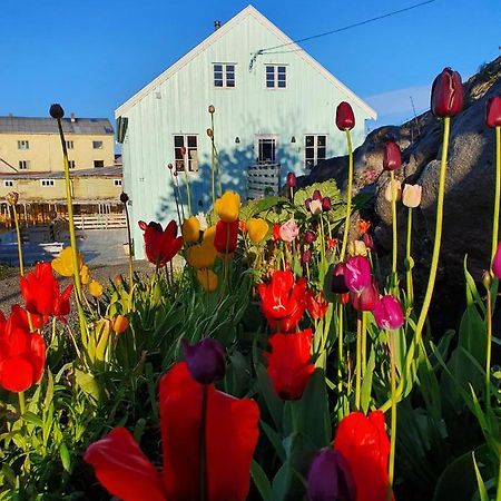 Lysvoldbrygga Bed & Breakfast Henningsvaer Exterior photo